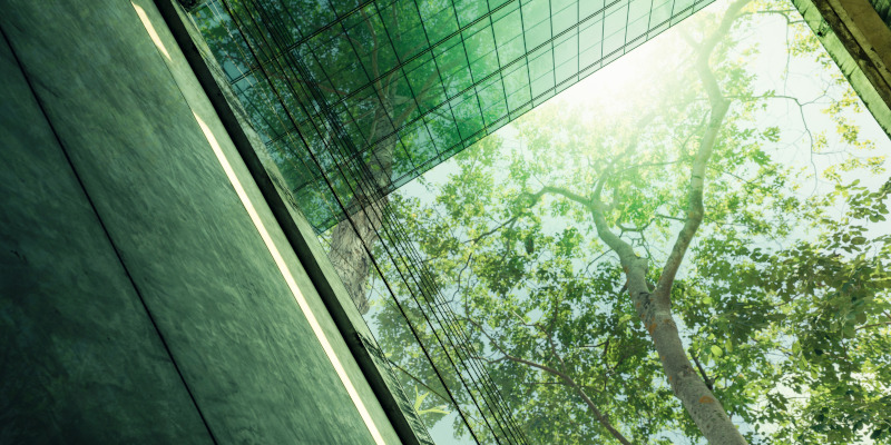 How Does Low-E Glass Work?
